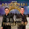 About Si el Amor Tuviera Rostro Song