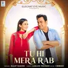 About Tu Hi Mera Rab Song