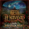 About Llegó la Navidad Song