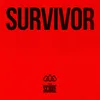 Survivor