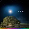 About A Paz - Natal Magalu Song