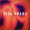 About Vita amara Song