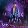 About A Donde Vayas Song