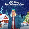 About All I Want For Christmas Is You Song