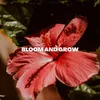 About Bloom and Grow Song