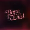 About Born to Be Wild Song