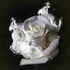 9 Rosas Blancas