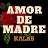 About Amor De Madre Song
