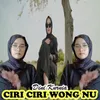 About Ciri Ciri Wong Nu Song