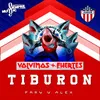About TIBURON Song