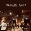 Snjókorn falla