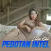 Pedotan Intel