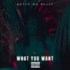 About What You Want Song