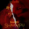 About Shaampu Song