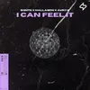 About I Can Feel It Song