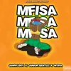 About Mfisa Song