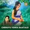 About Cheruvu Venka Baatalo Song