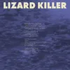 About Lizard Killer Song
