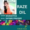 About Raze Dil Song