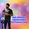 About Nee Pedhavi Meedhunna Puttumaccha Song