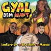 About Gyal Dem Want Song