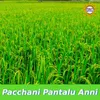 About Pacchani Pantalu Anni Song