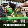 About Peddhaguttalona Song