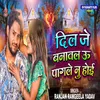 About Dil Je Banawal U Pagle Nu Hoi Song