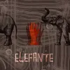 About Elefante Song