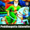 About Peddhagutta Adavullo Song