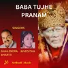 About Baba Tujhe Pranam Song