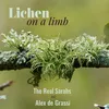 About Lichen on a Limb Song