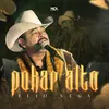 About Pokar Alto Song