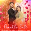 About Nachle Sali Song