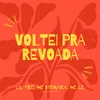 About Voltei pra revoada Song