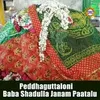 About Peddhaguttaloni Baba Shadulla Janam Paatalu Song