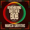 About Remembering Brother Bob Song