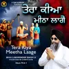 About Tera Kiya Meetha Laage Song