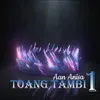 About Toang Tambi Song