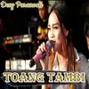 About Toang Tambi Song