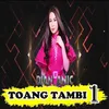 About Toang Tambi Song