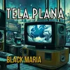 Tela Plana