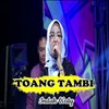 About Toang Tambi Song