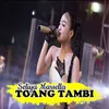 About Toang Tambi Song