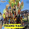 About Toang Tambi Song