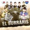 About El Burraris Song