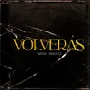 About VOLVERÁS Song