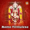 About Namo Tirmulesa Song
