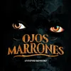 About Ojos Marrones Song