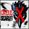 About Circus X Song